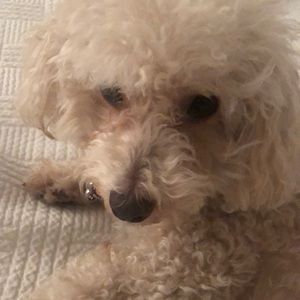 Meet your Posher, Natasha